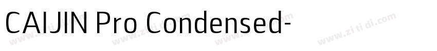 CAIJIN Pro Condensed字体转换